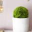 Boule de feuillage artificielle verte
