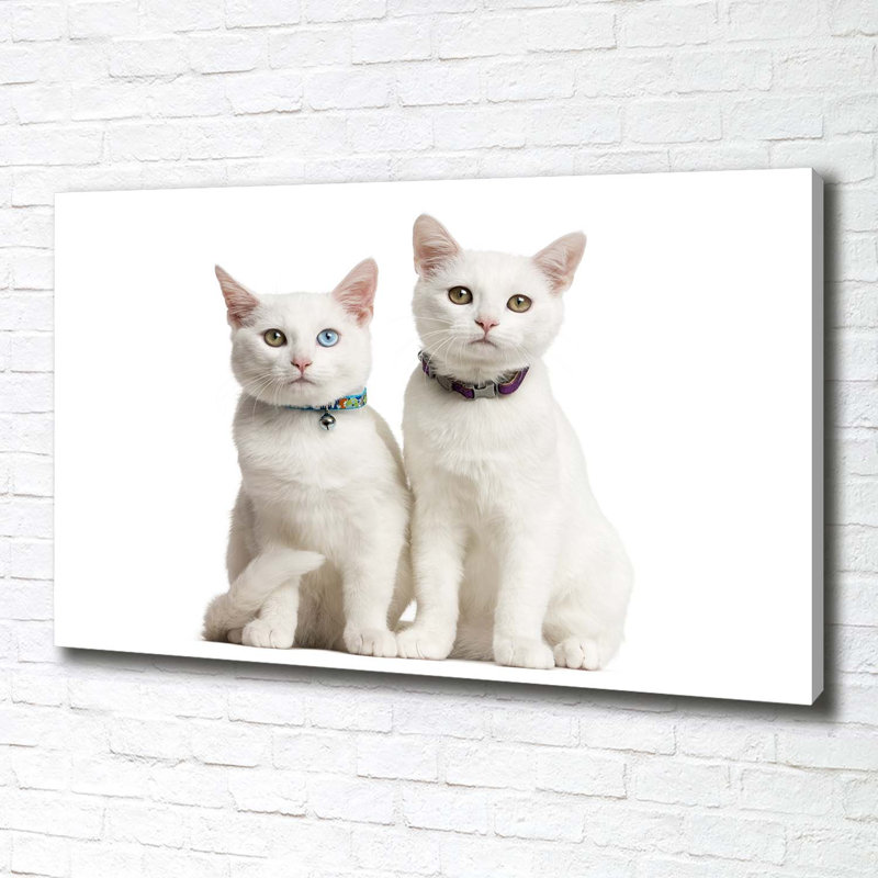 White Cats - Wrapped Canvas Print