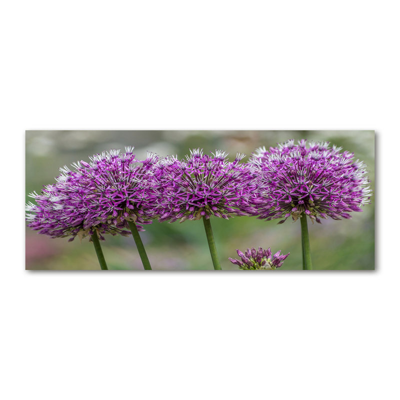 Garlic Flower 1 Piece Wrapped Canvas Wall Art