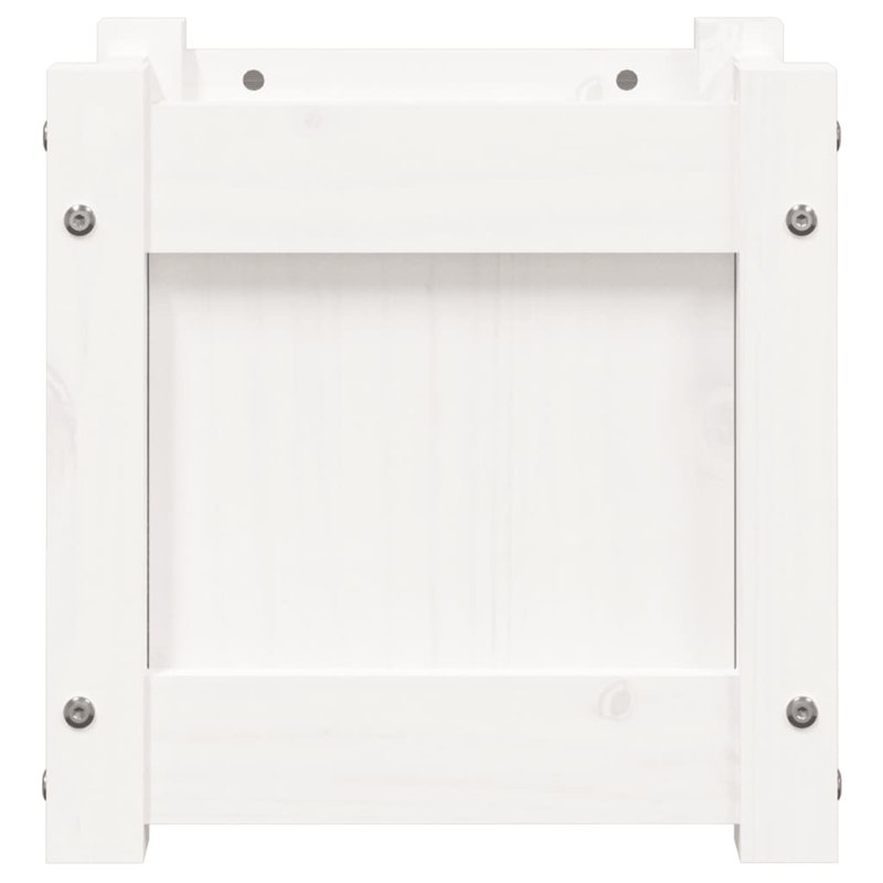 Ander Planter, White Pine, 1