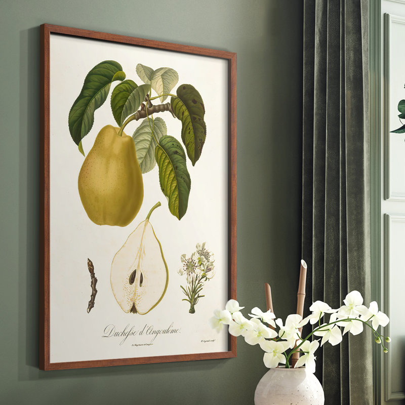 Vintage Pears I, reproduction encadrée - bois massif, H 28 po x l 22 po, Brun