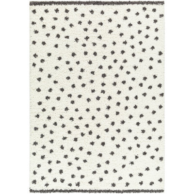 Indoor Rug