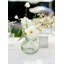 Ensemble de vases de table en verre Pecic-670306201