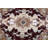 Oriental Indoor Rug