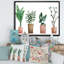 Duo de plantes en pot - Peinture sur toile-59281807-59366009