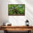 Old Oak Tree-37457944-37457936
