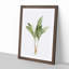 Lily of the Valley by Pierre-Joseph Redoute - Picture Frame Painting Print-55582767-55582766