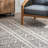 Southwestern Indoor Rug-866404818