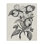 Coupe classique de toile de cornouiller, design par Karen Smith