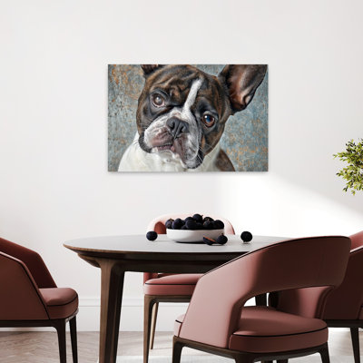 Curious French Bulldog Dog Wall Art Print