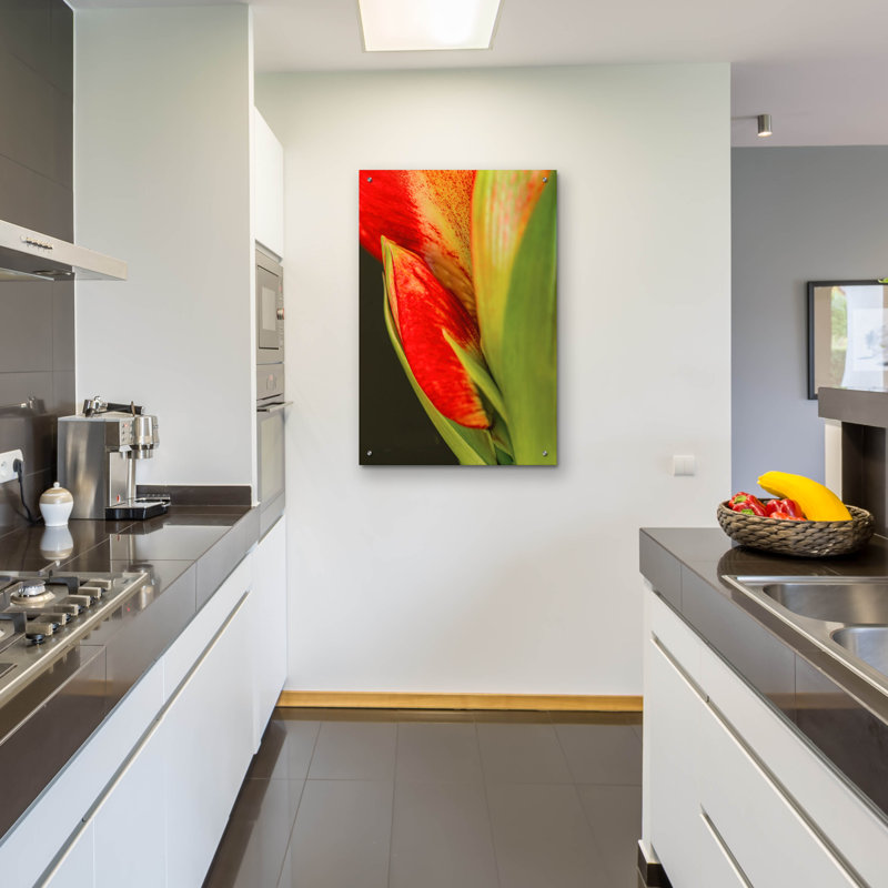 " Amaryllis " by Pamela Plummer, 36" H x 24" W x 0.2" D