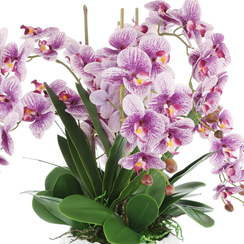 Orchidées mauves dans un pot décoratif en céramique, H 24 po x l 22 po x P 22 po