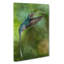 Green Hermit Hummingbird - Wrapped Canvas-56665919