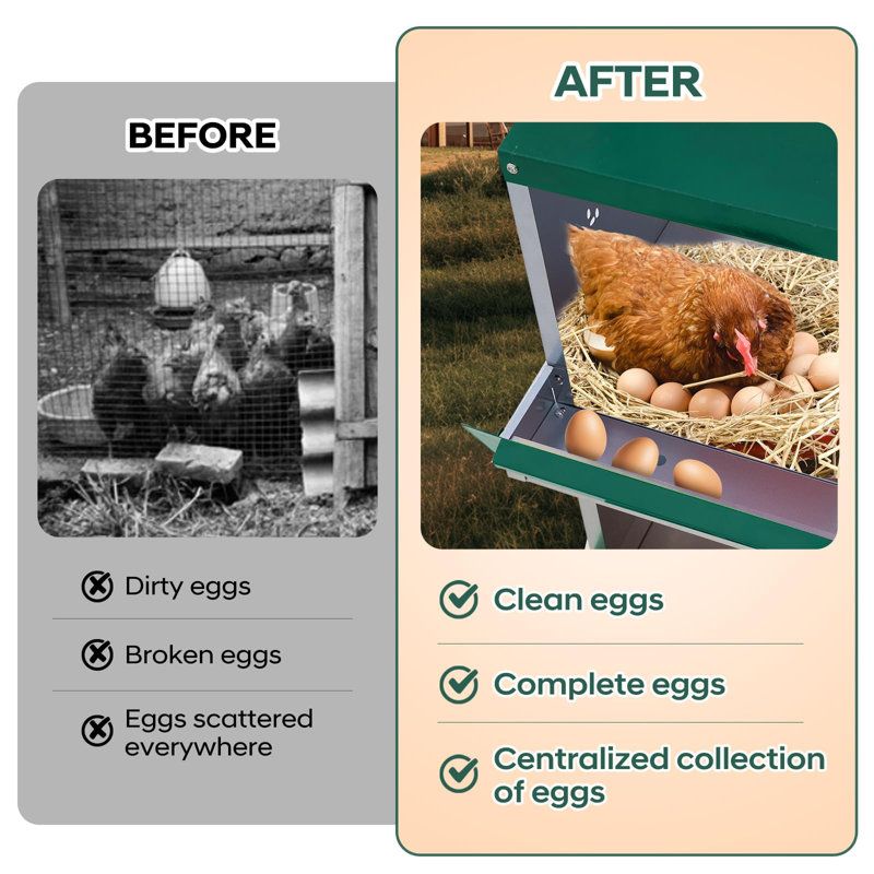 Boîte de nidification de poulet à 3 compartiments avec pieds