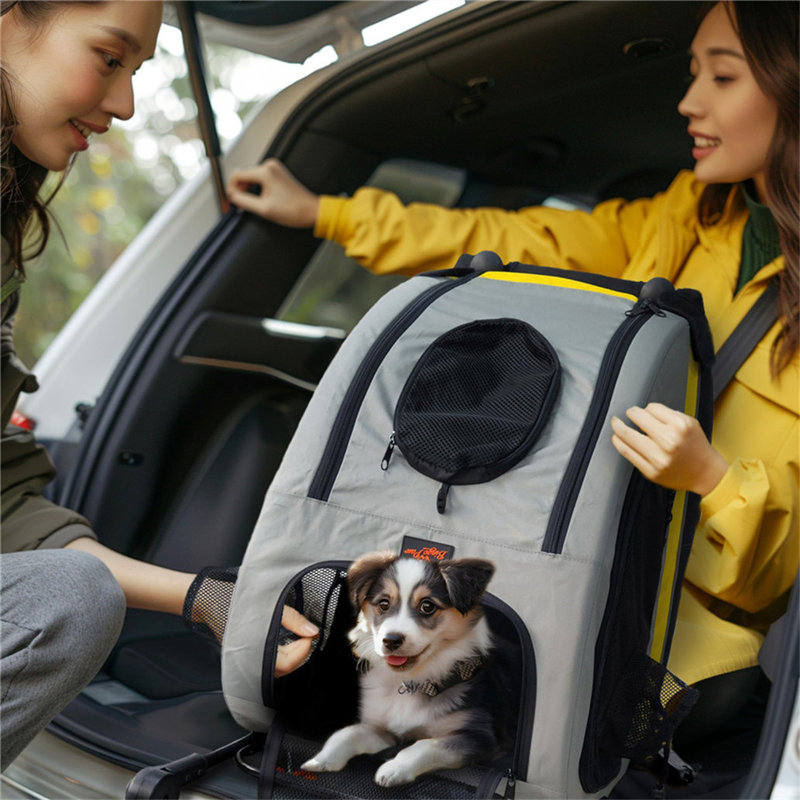 Dahlke Pet Jogger Stroller Carrier