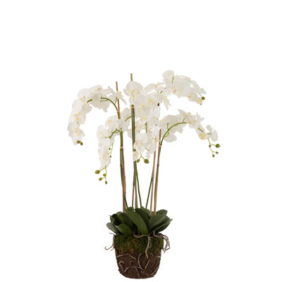 Faux Plant