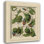 Alcott Hill® Vision Studio Gallery Wrapped Canvas Art Titled: Decorative Flourish II