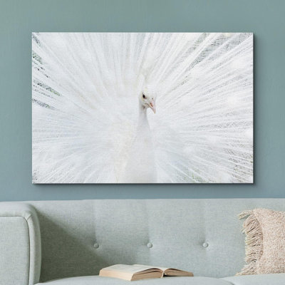 «Animals Vibrant Bright White Peacock Bird» sur toile