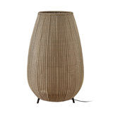 Amphora 48.43" LED Novelty Floor Lamp