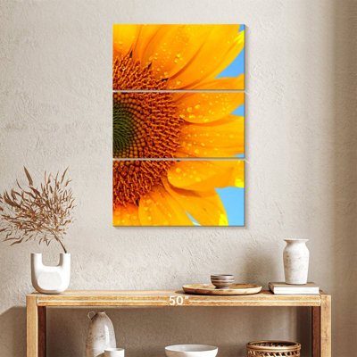 Tournesol Harnek