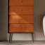 Commode d'appoint 5 tiroirs