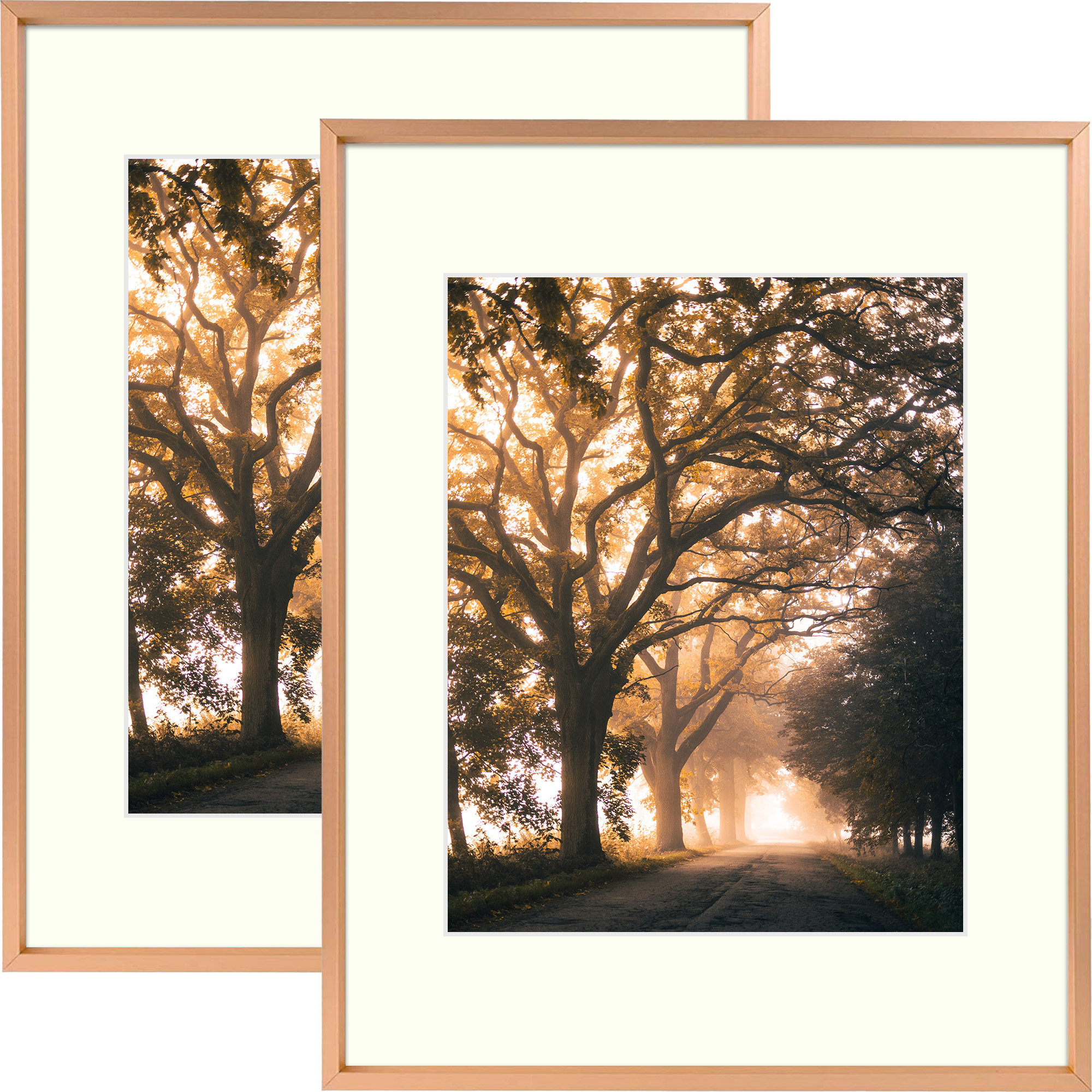 https://assets.wfcdn.com/im/15753619/compr-r85/2004/200435953/2-piece-matte-gallery-wall-frame-set-multi-photo-frames-collage-for-wall-or-table-top-display.jpg