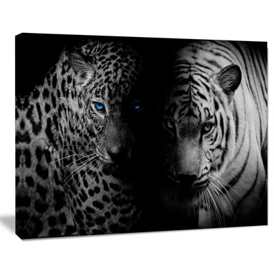 « leopard et tiger », impression sur toile tendue en noir