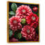 Rouge magnifique Zinnias Blooms II - fleur, art mural-1241144281-1274580491