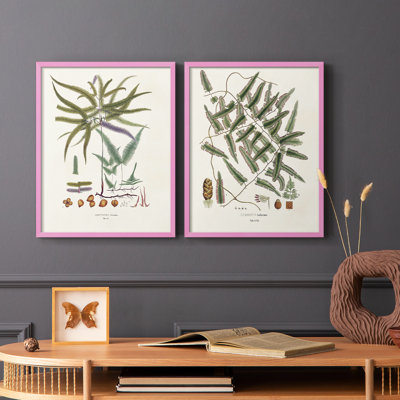 Fougères de la Botanical Society - reproduction encadrée de qualité supérieure - prête à être accrochée - aucun clou requis - aucun clou requis
