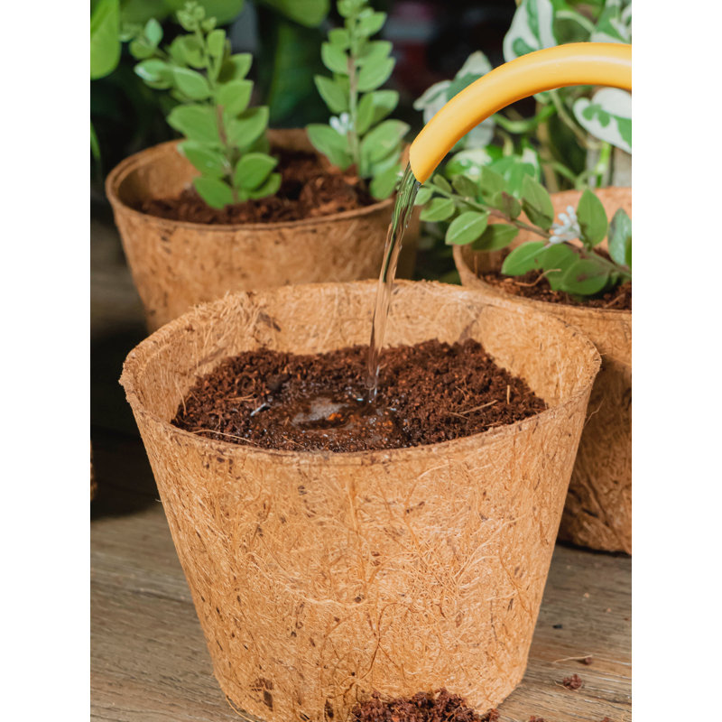 Eidson Liner Plant Stand