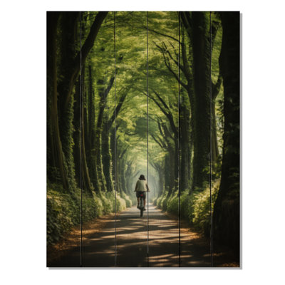 " Bicycle Serene Bicycle Path I "