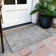  Chayden Indoor/Outdoor Chantille ACN991 Gray Area Rug