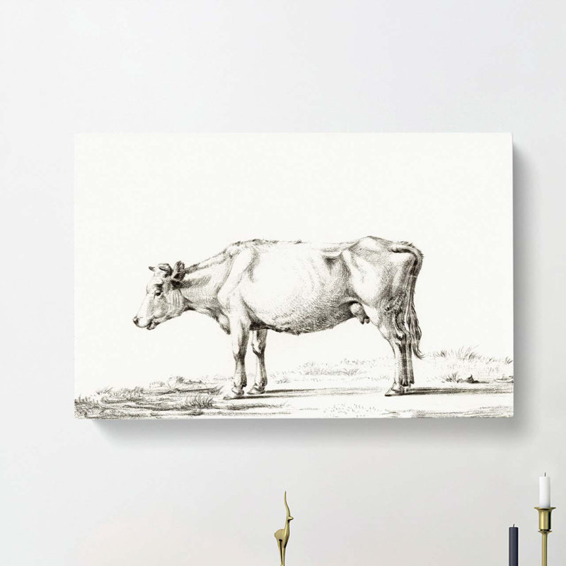 The Portrait of a Cow by Jean Bernard - Wrapped Canvas Drawing - Wrapped Canvas, 50cm H x 76cm W x 3cm D