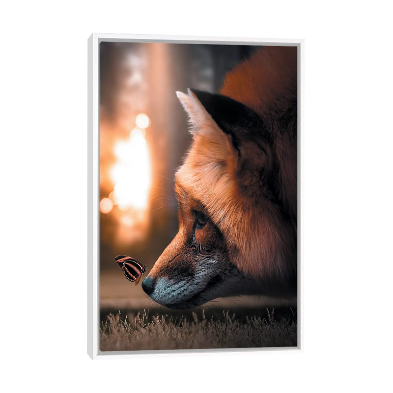 Fox Butterfly by Zenja Gammer - Print on Canvas, 66.04 cm H x 45.72 cm W, White Framed