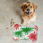 Christmas Spirals - Tapis d'alimentation en os 1 pièce-101344931