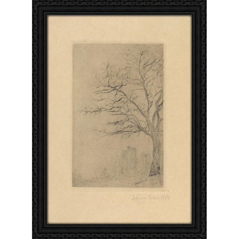 Acacia (1888)
