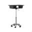 Table pliante pour ordinateur portable, graphite