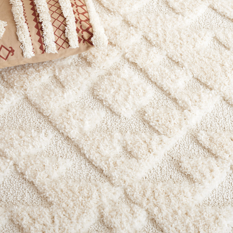 Kaitlen Tassel Shag Performance Southwestern Rug, Round 5'3"