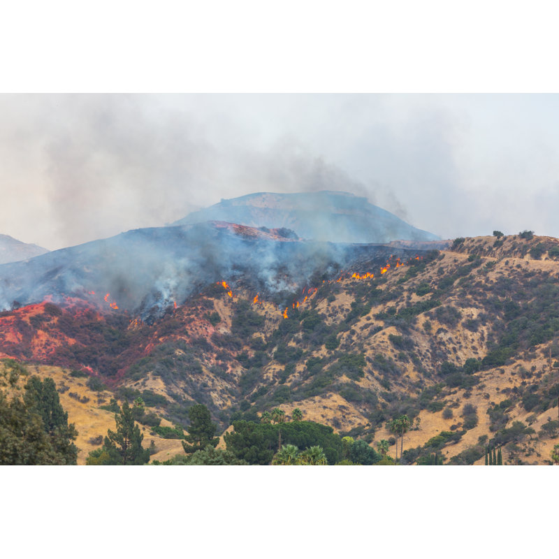 «La Tuna Wildfire» par Jorge Villalba