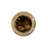 Gilded Vase Large-1715520936