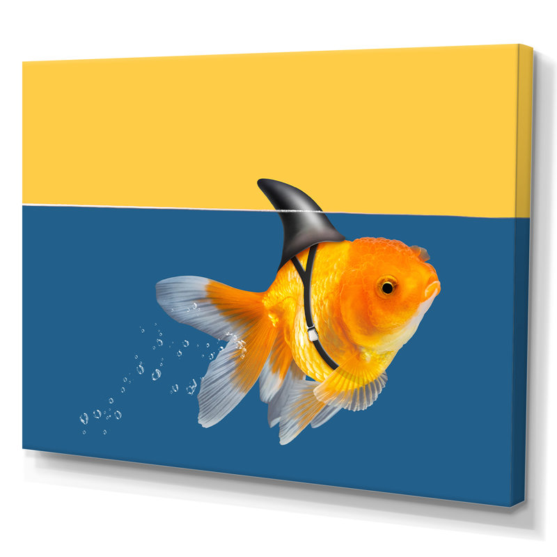 Reproduction de cadre flottant sur toile Goldfish Shark, H 16 po x l 32 po x P 1 po, Toile tendue