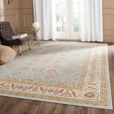 Oriental Hand Woven Area Rug