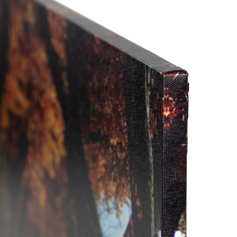 LED Lighted Fall Pathway Canvas Wall Art 23.5" x 15.75"