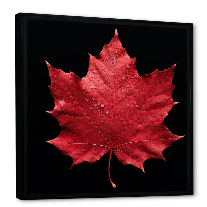 " Red Leaves Ruby Reduction I ", Black Floater Framed, 30" H x 30" W x 1" D