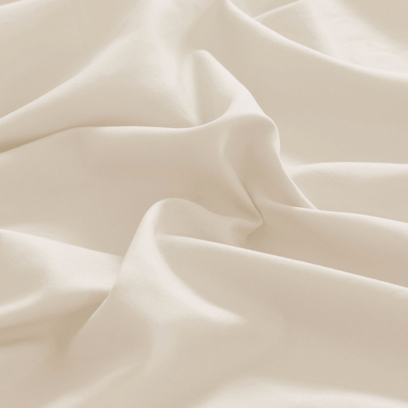 Wayfair Basics® 1800 Series Soft Microfiber Single Flat Sheet, Twin Flat Sheet, Coconut Milk