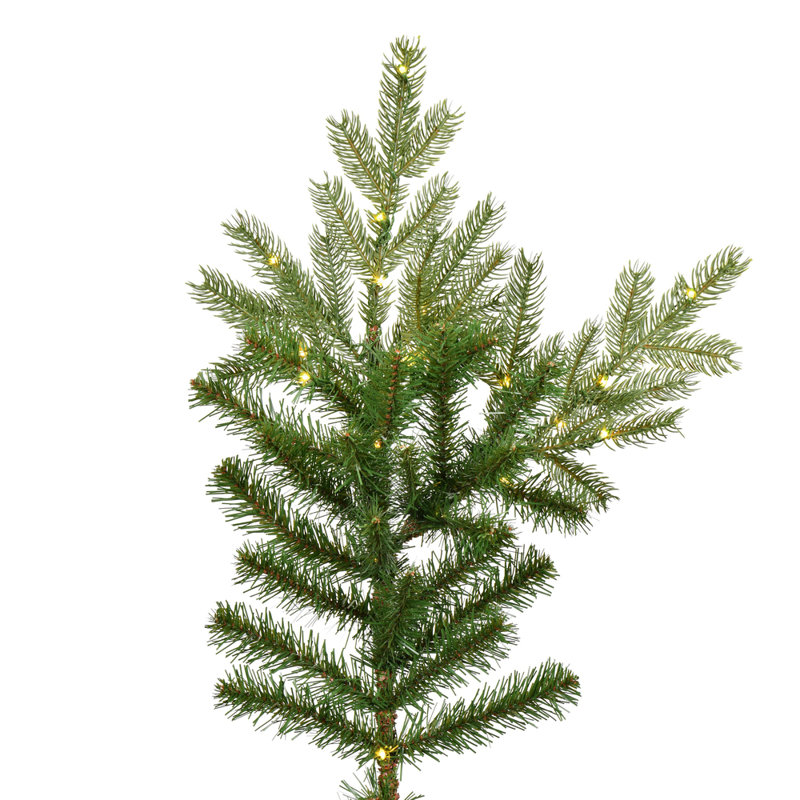 6.5' H Lighted Artificial Pine Christmas Tree