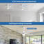 Damecia 52'' Ceiling Fan with LED Lights-1836628953