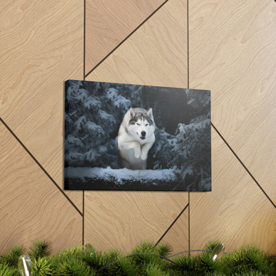 Siberian Husky Hunting Siberian Husky on Hunt Print Animal Wall Art