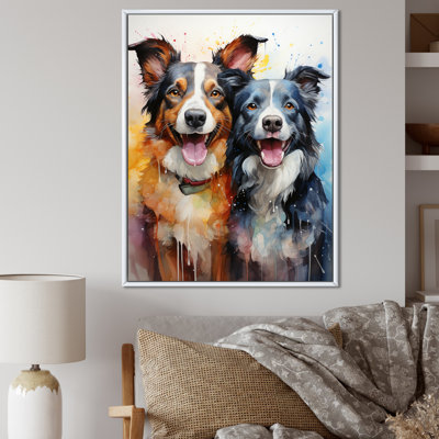 " Border Collie Brilliance II "