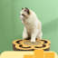 Flower Shape Scratcher Cat Toy With Ball Track Ball